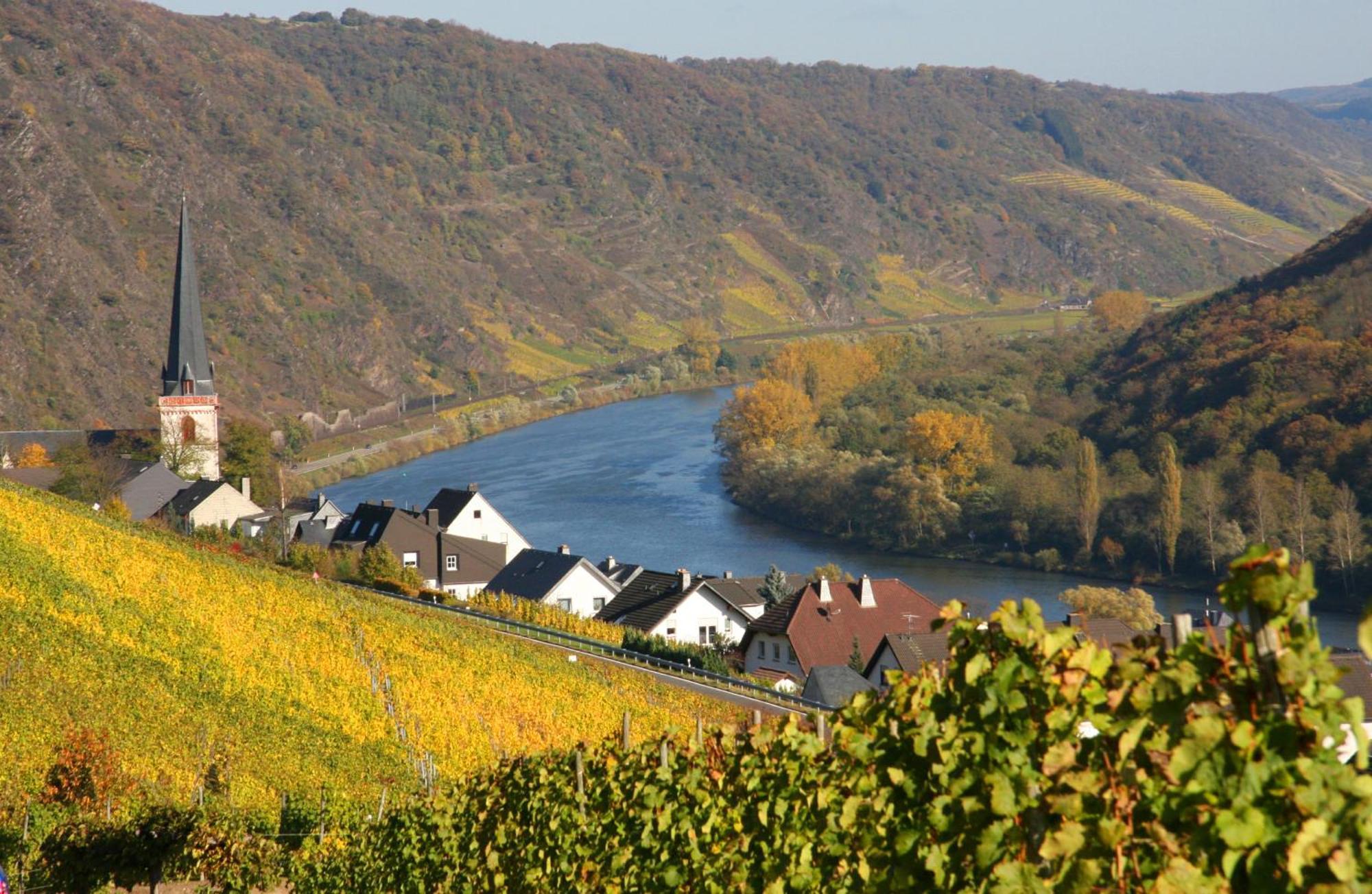 Weinhotel Hubertus Garni Klotten Luaran gambar