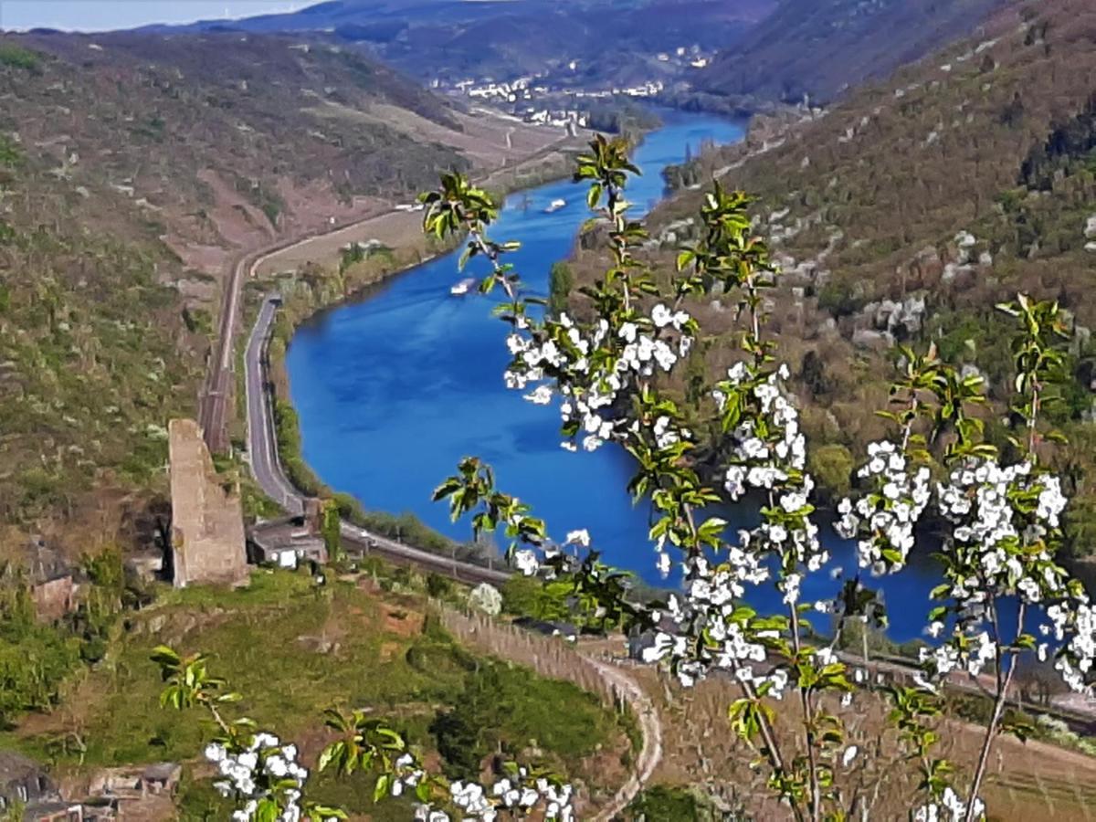 Weinhotel Hubertus Garni Klotten Luaran gambar